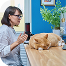 Online  Vet Consultation