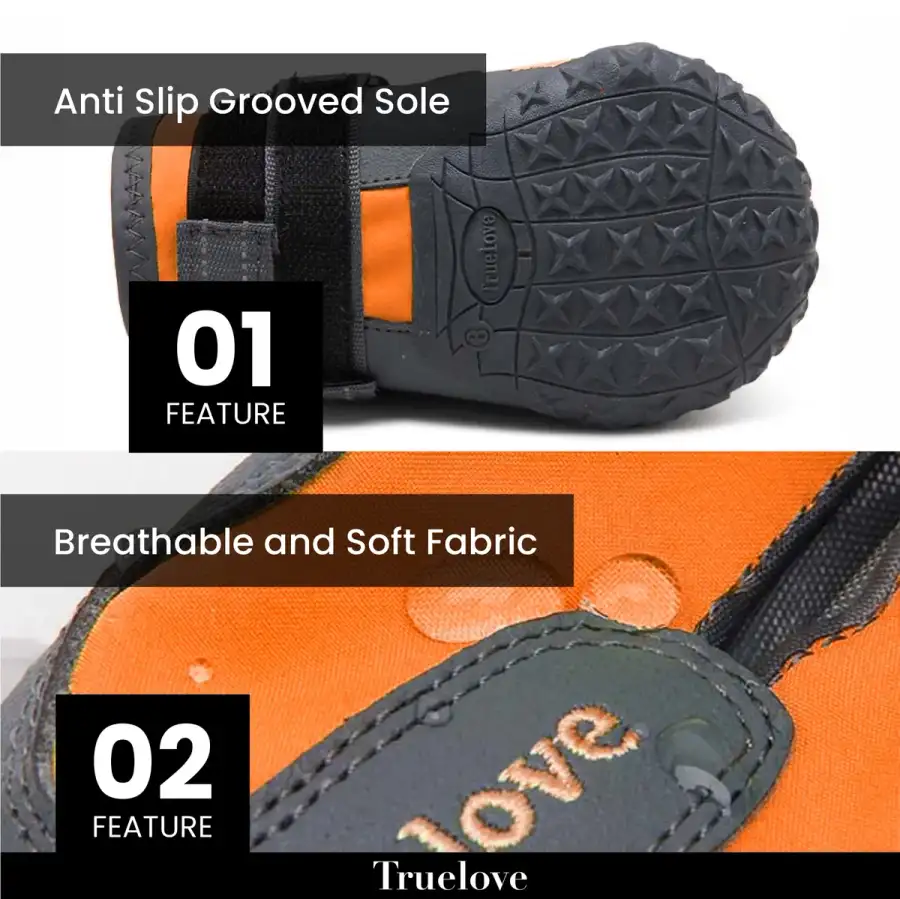 thumb-0