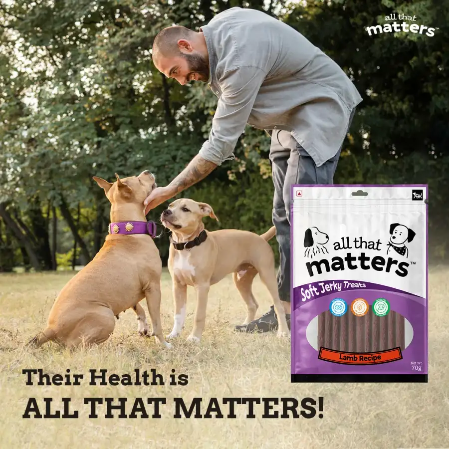 ATM Lamb Recipe 70g - Delicious Lamb Treat for Dogs